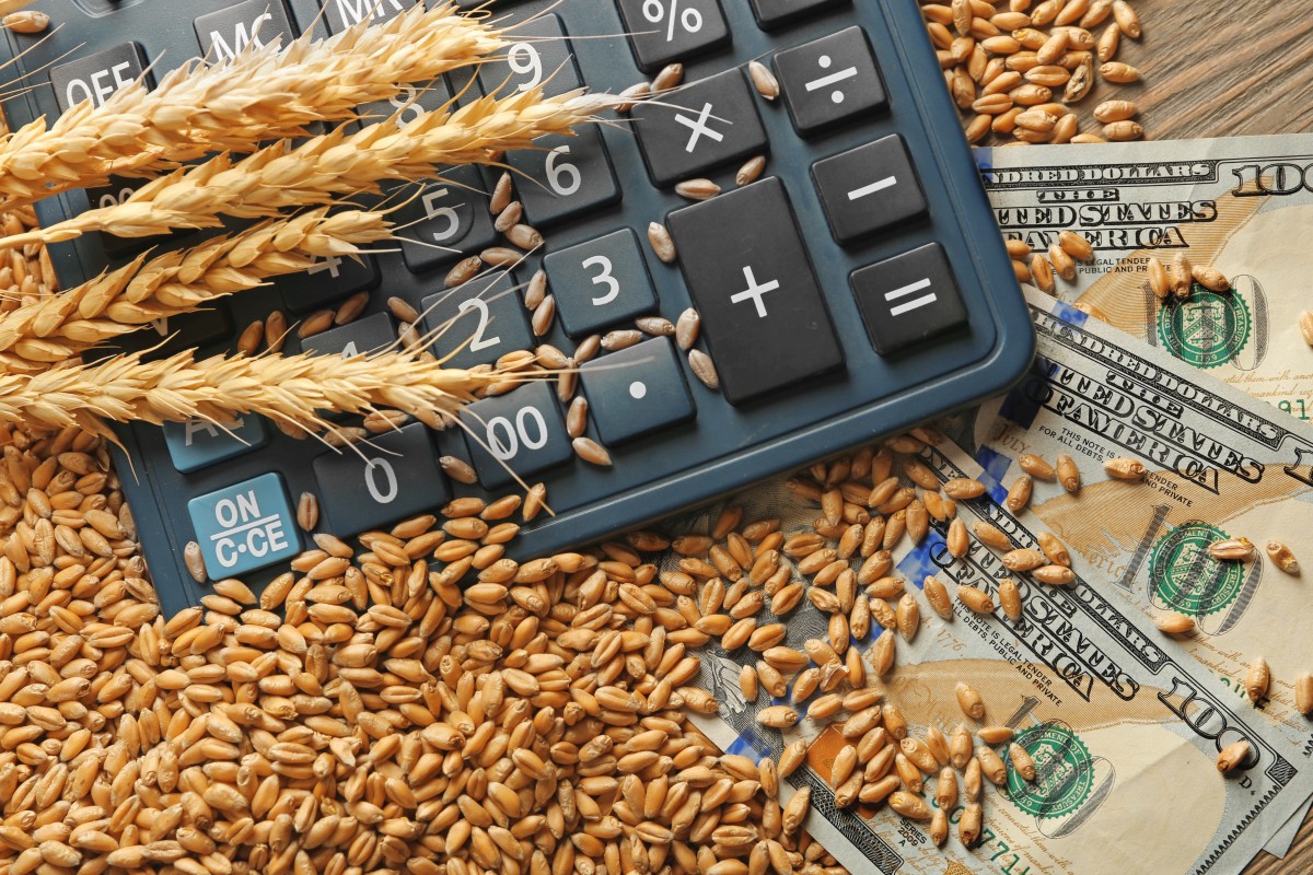 crop and seeds over calculator and cash 111348644