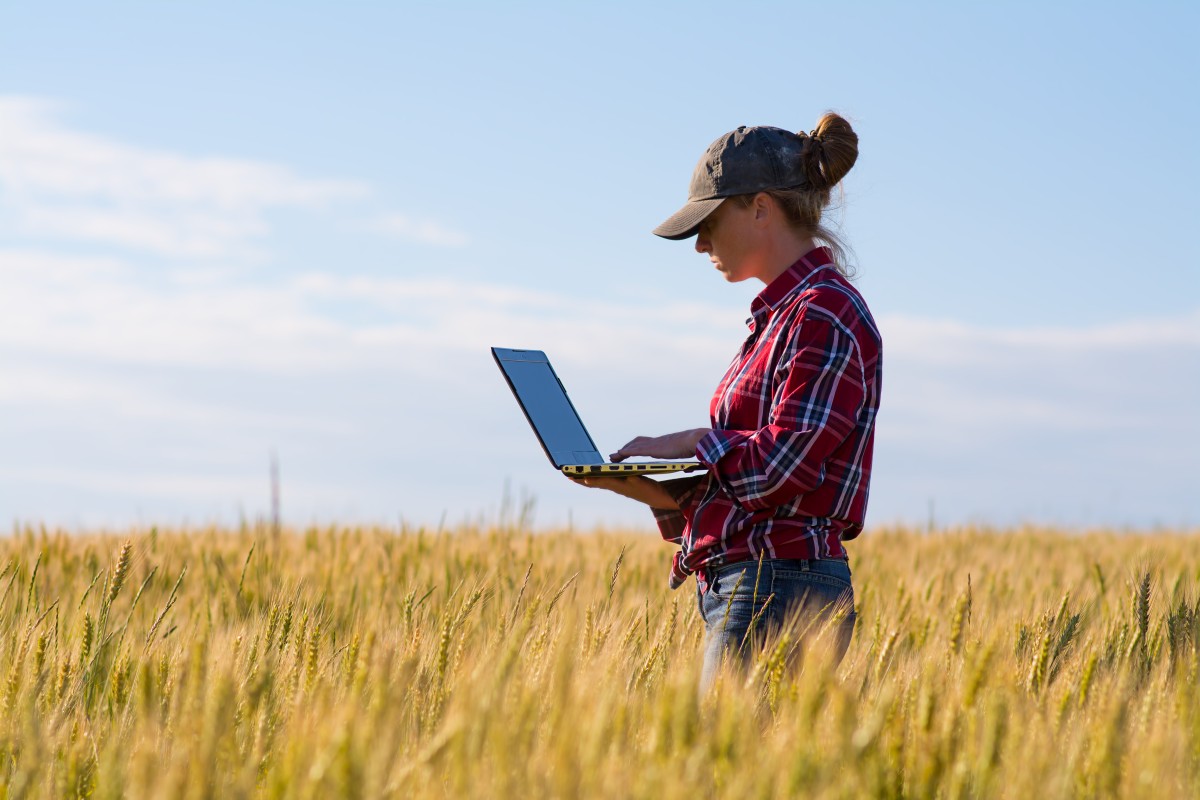 farmer updates data in field 214125045