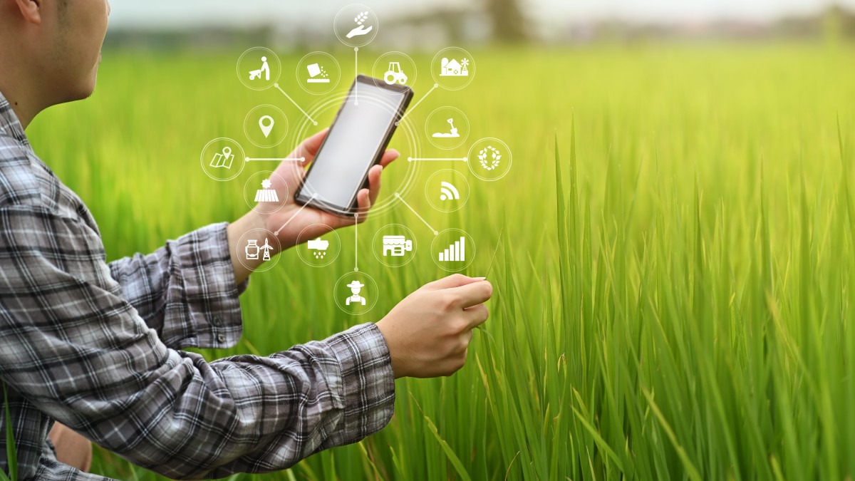 farmer consults ag tech data from handheld device 294304808
