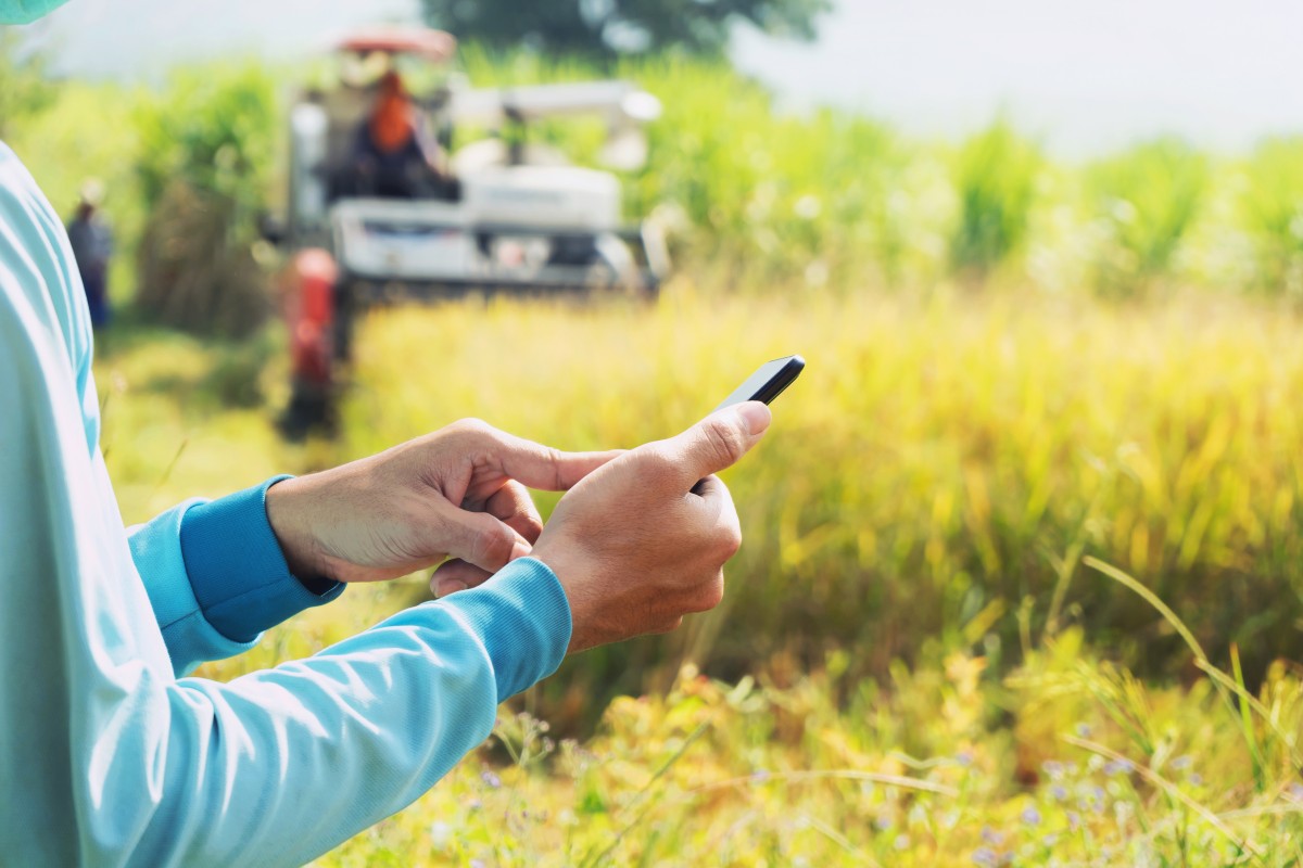 farmer enters data from field into Farm ERP software301570931