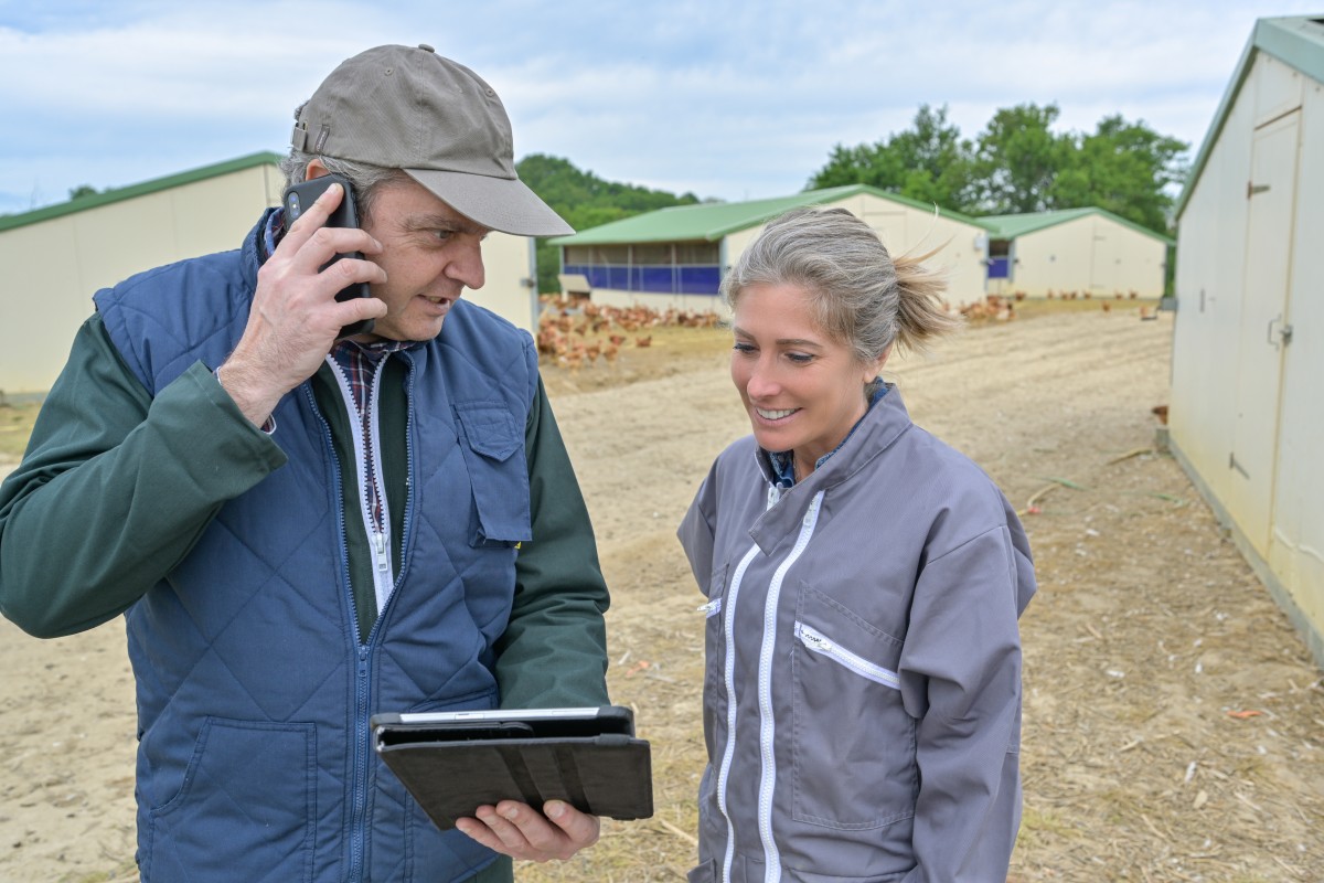 Farmer makes livestock decisions based data 346939377