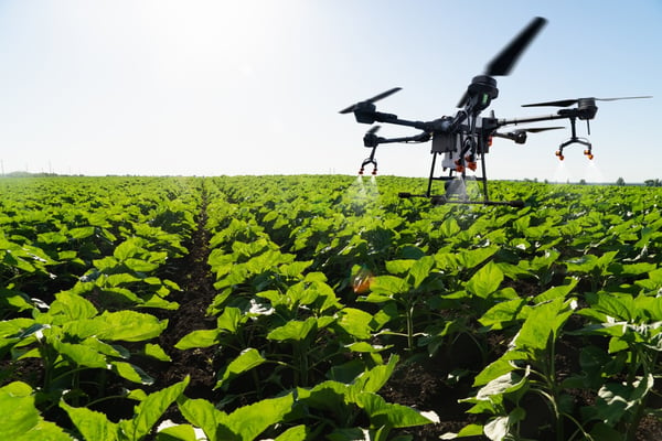 drone flies over field gathering data and spraying
