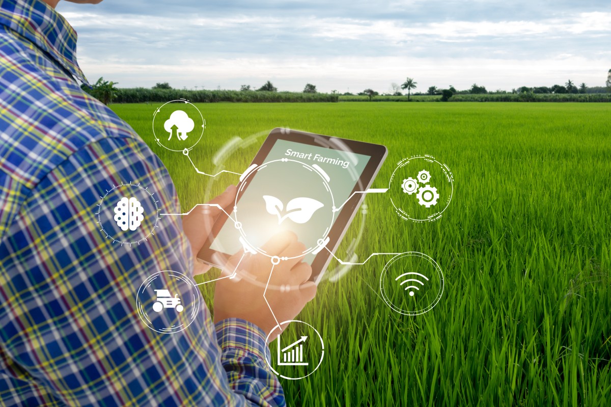 Farmer looks at agricultural ERP Software on tablet while standing in field