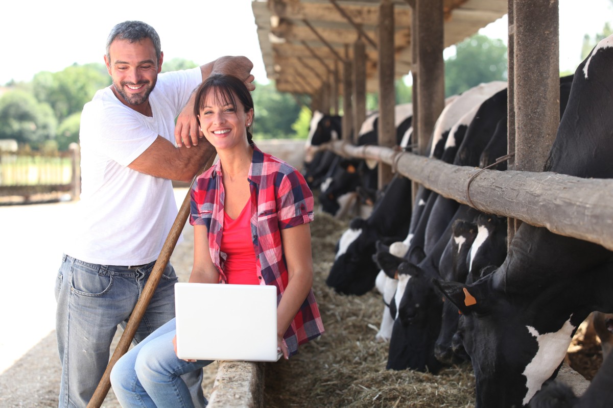 dairy farmers smiling with laptop in front of cow trough42154817