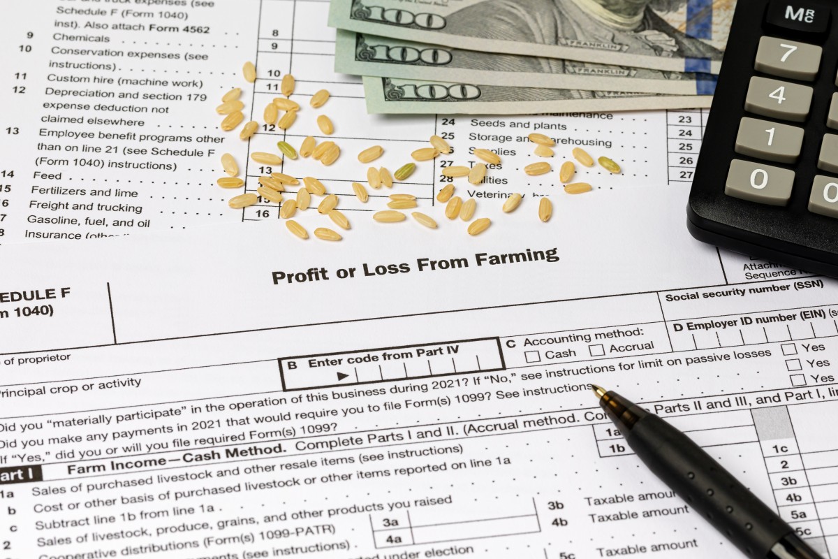cash accounting for farm 490183668