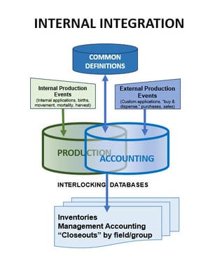 Internal Integration