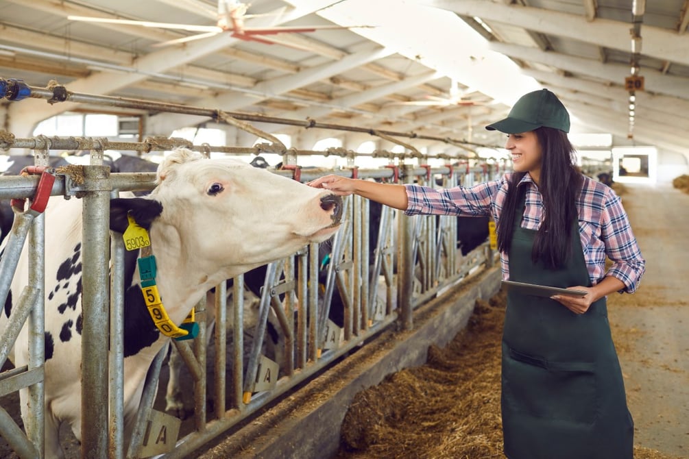 farm-worker-petting-dairy-cow