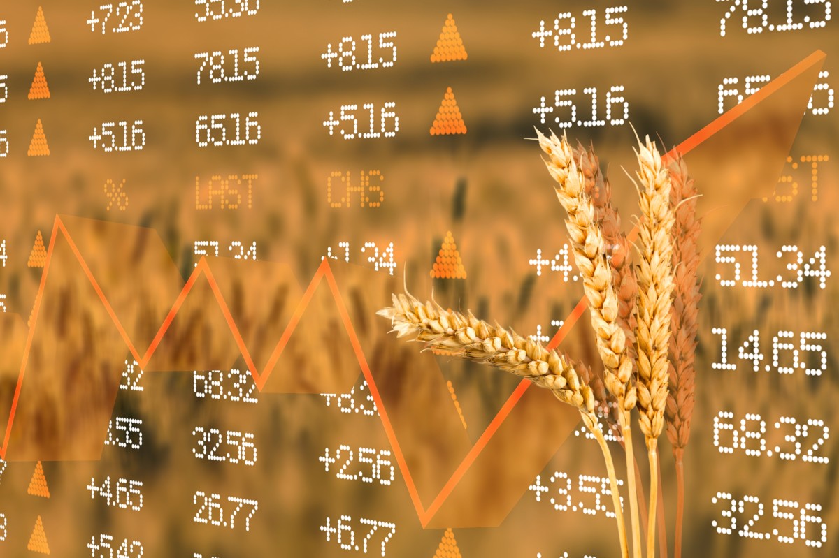 wheat-in-front-of-value-graphic_455372326