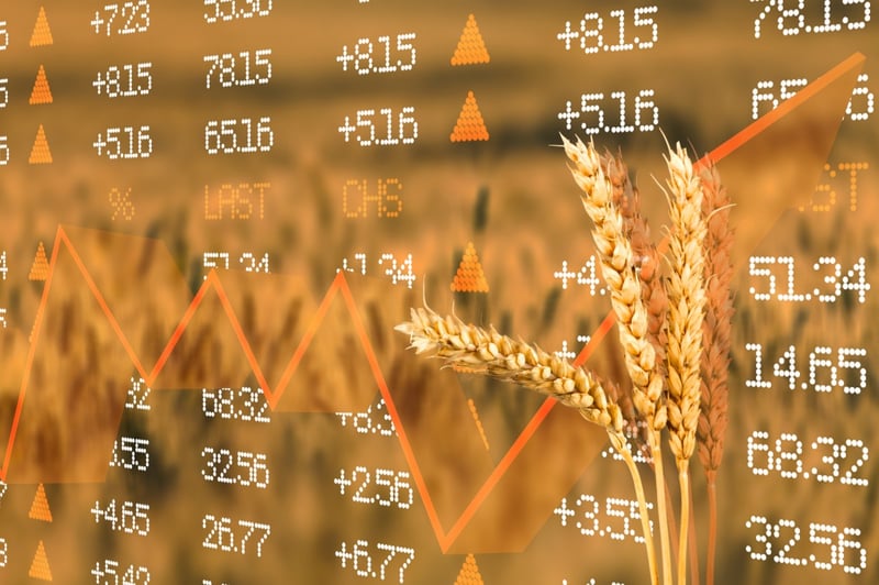 wheat-in-front-of-value-graphic