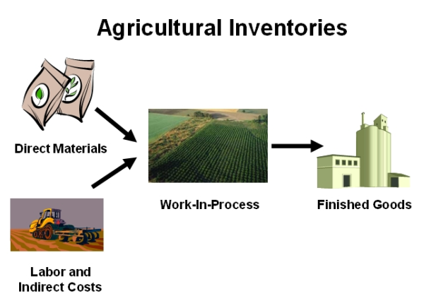 agricultural inventories 