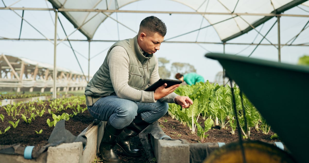 business intelligence tools for farming